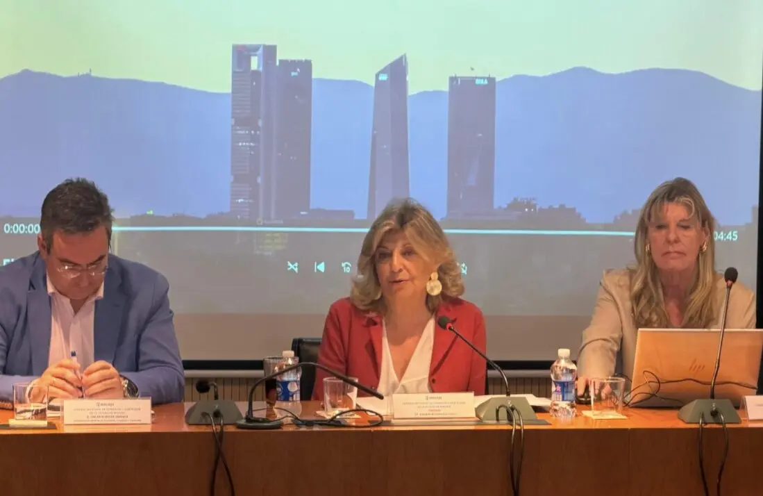 La delegada de Econom&iacute;a, Innovaci&oacute;n y Hacienda, Engracia Hidalgo, en la tercera sesi&oacute;n del Consejo Sectorial de Comercio y Hosteler&iacute;a de Madrid - Foto Ayuntamiento de Madrid