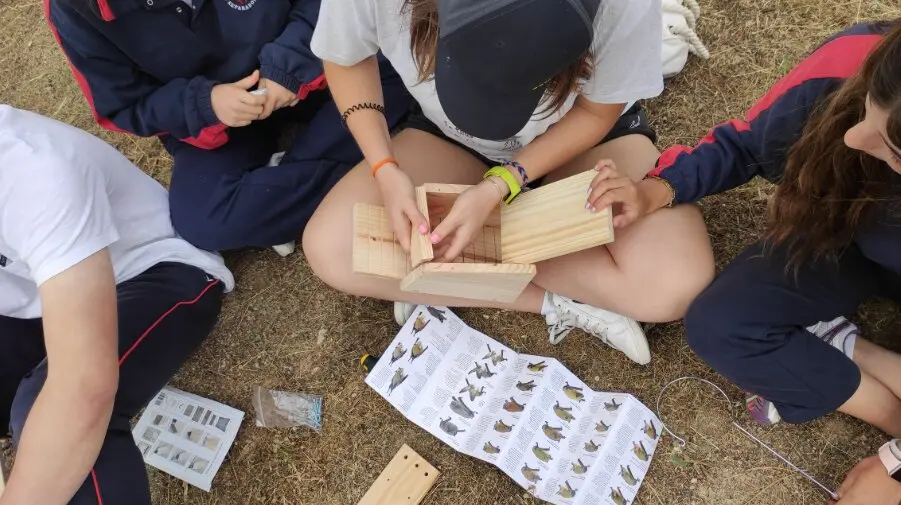Campamentos infantiles gratuitos en Arroyomolinos - Foto Comunidad de Madrid