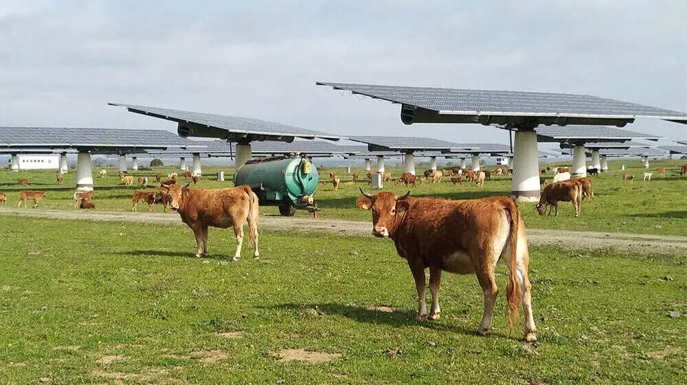 Velto Renewables blinda su estrategia en Espa&ntilde;a con una refinanciaci&oacute;n de 800 millones de euros - Foto de Velto Renewables