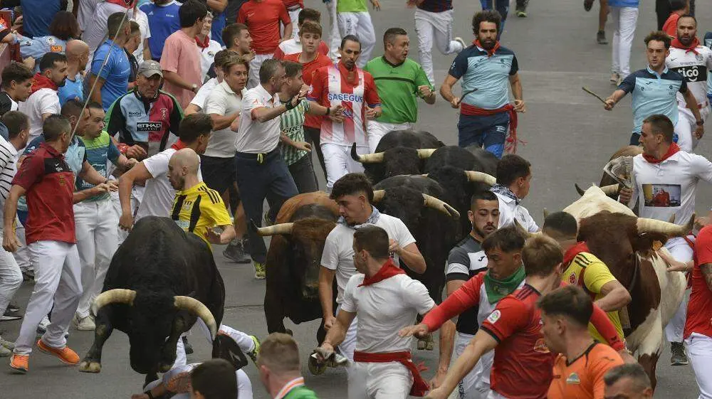 Antena 3 volver&aacute; a emitir en directo los tradicionales encierros de San Sebasti&aacute;n de los Reyes - Foto del Ayuntamiento de San Sebasti&aacute;n de los Reyes