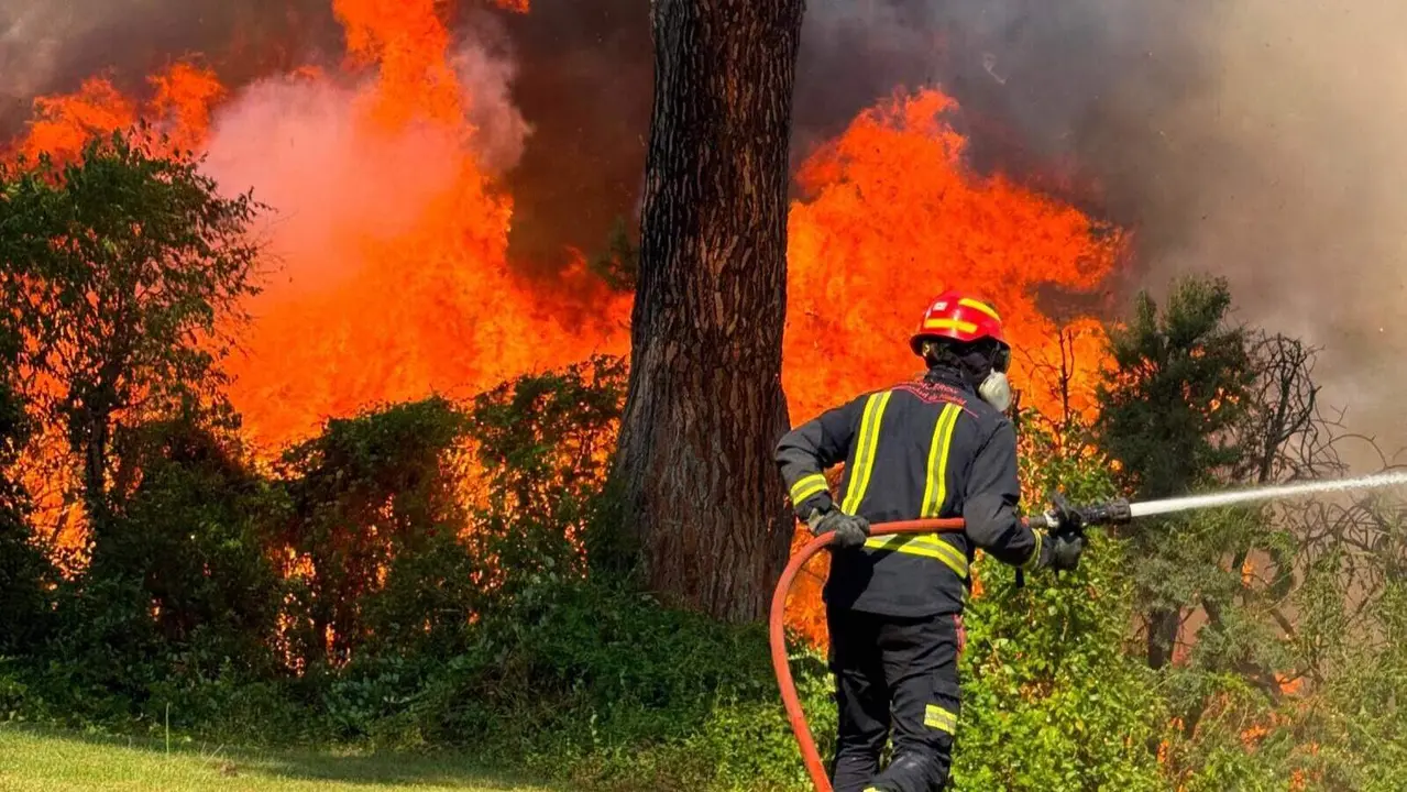 Un bombero lucha contra las llamas | Foto de Comunidad de Madrid