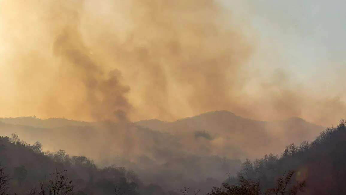 Incendios - Foto publicada por el Colegio Oficial de Farmac&eacute;uticos de Madrid (COFM)