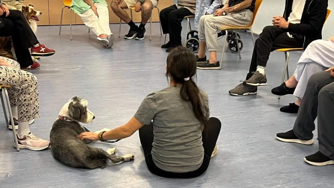 Terapia con perros para pacientes con trastorno mental grave - Foto Comunidad de Madrid
