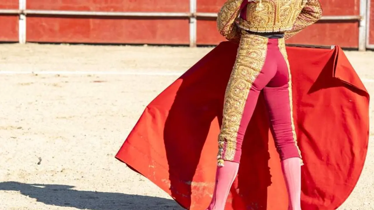 Toros - Foto wirestock