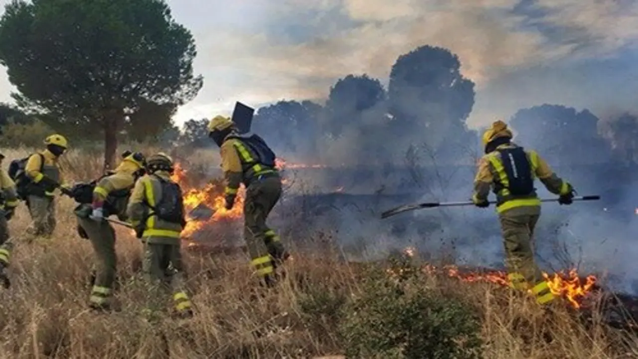 Bomberos Forestales