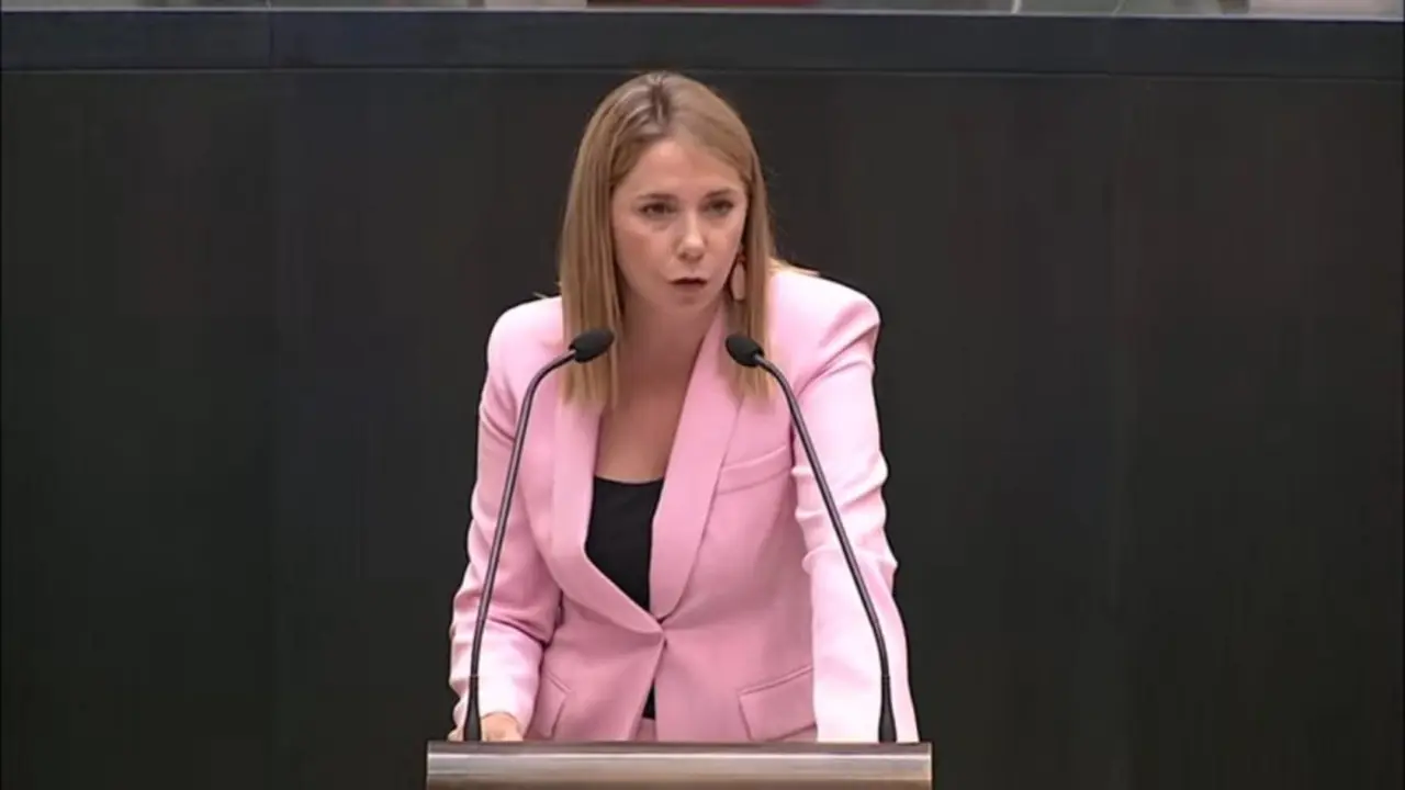 La portavoz del PSOE en la Asamblea de Madrid, Mar Espinar - Foto Servimedia