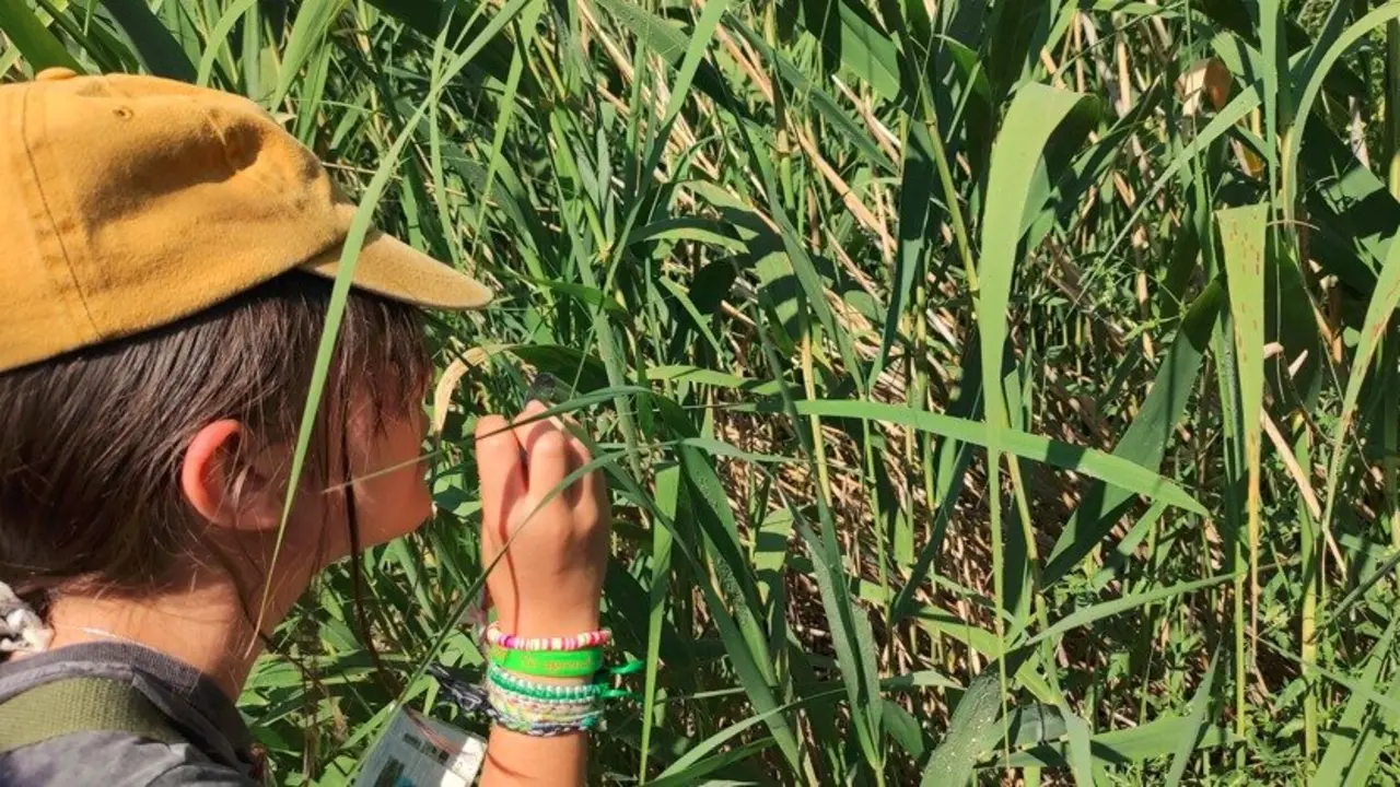 Educaci&oacute;n Medioambiente - Foto Comunidad de Madrid