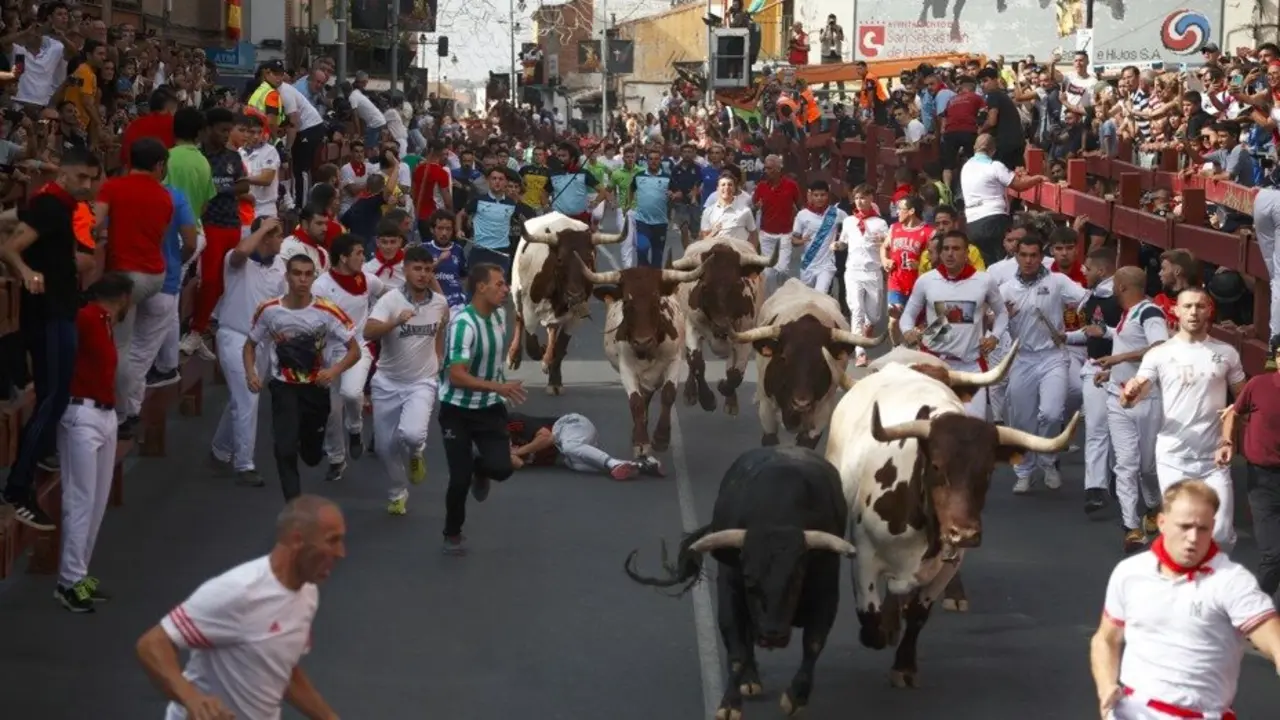 Encierros San Sebasti&aacute;n de los Reyes 2025 - Foto Ayuntamiento San Sebasti&aacute;n de los Reyes