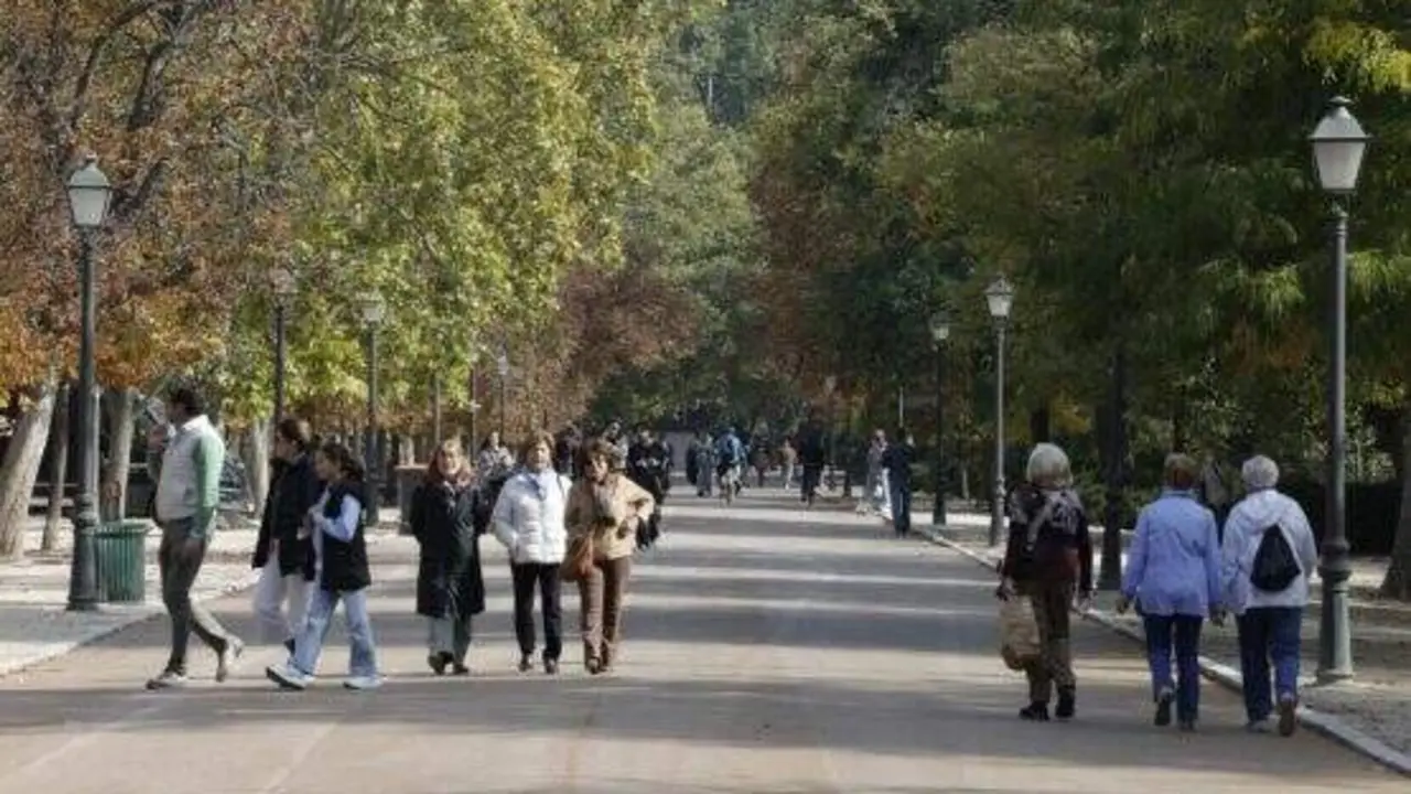 Imagen de archivo viales del parque de El Retiro