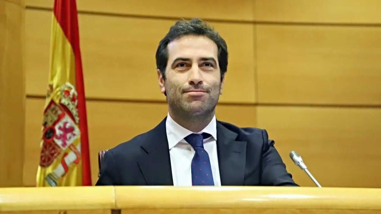 Carlos Cuerpo, ministro de Econom&iacute;a, Comercio y Empresa, en el Senado - Foto del Ministerio de Econom&iacute;a, Comercio y Empresa