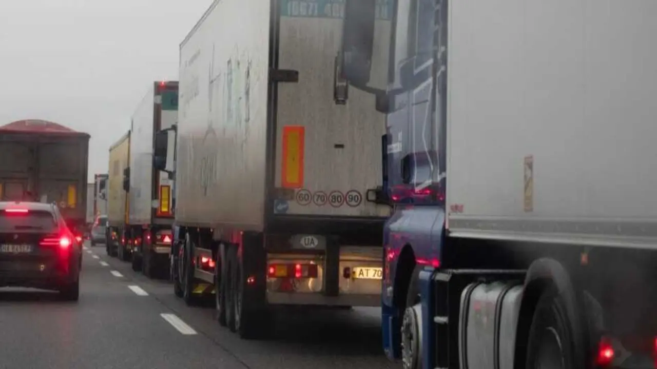 Camiones en carretera