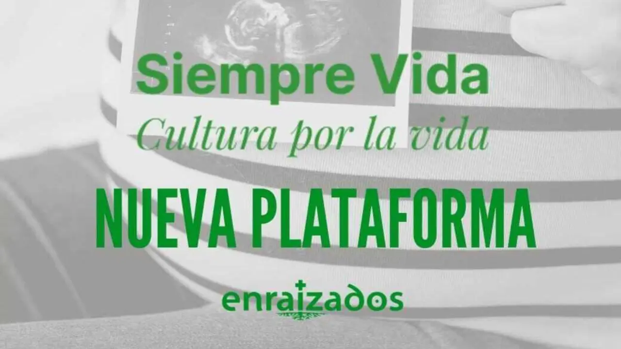 Nueva plataforma por la defensa de la Vida "Siempre Vida" - Imagen de la Fundaci&oacute;n Enraizados