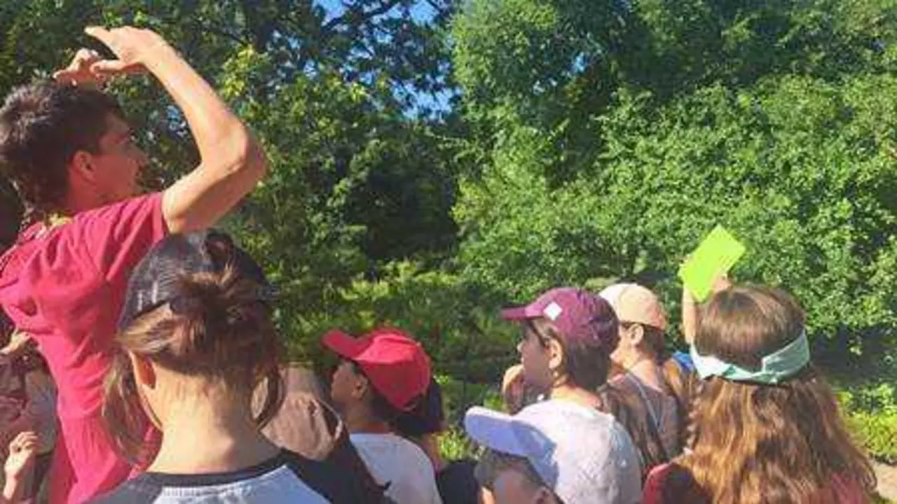 Imagen de archivo de una actividad celebrada en el Jard&iacute;n Bot&aacute;nico la edici&oacute;n del pasado a&ntilde;o del campamento de verano. Fotograf&iacute;a: &copy; IFTG | RJB-CSIC