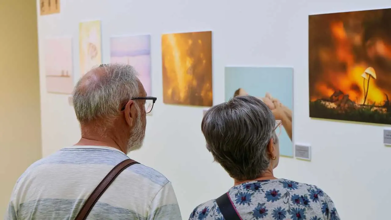 Premios AFOM - Foto del Ayuntamiento de M&oacute;stoles