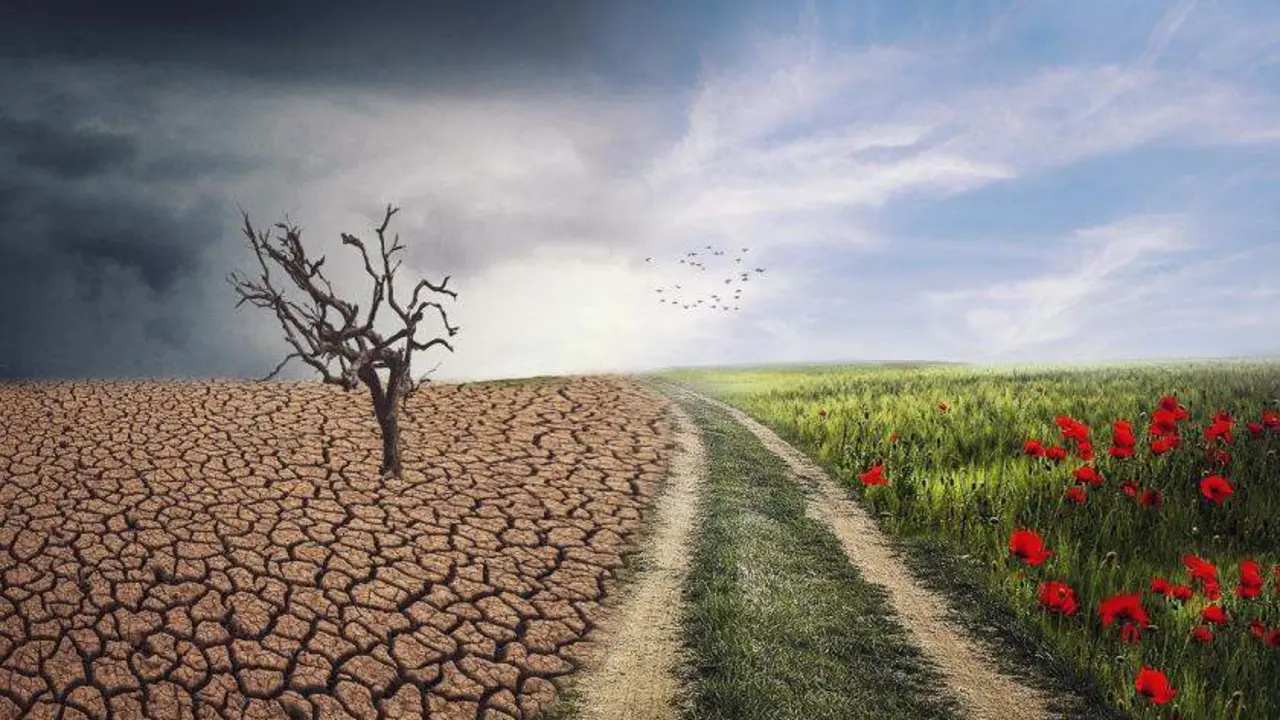 Madrid y la Agencia Espacial Europea impulsan la investigaci&oacute;n clim&aacute;tica en las aulas con proyectos cient&iacute;ficos de alumnos
