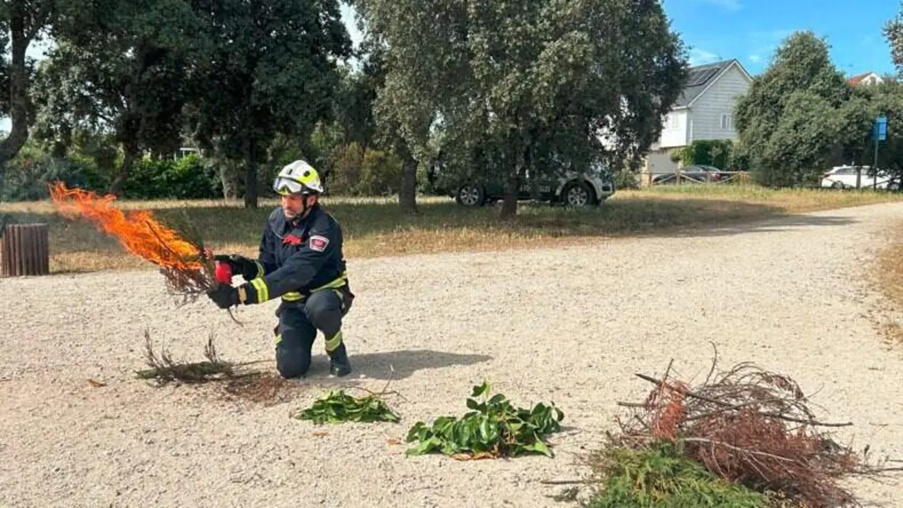 Campa&ntilde;a para evitar incendios en plantaciones de ariz&oacute;nicas - Foto Comunidad de Madrid