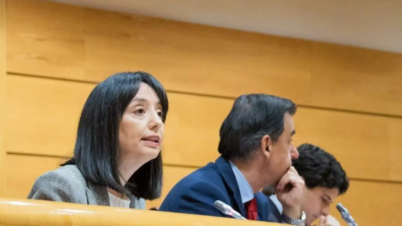 La directora general de la Guardia Civil, Mercedes Gonz&aacute;lez, en una comparecencia en el Senado en marzo del a&ntilde;o pasado | Foto de la Guardia Civil
