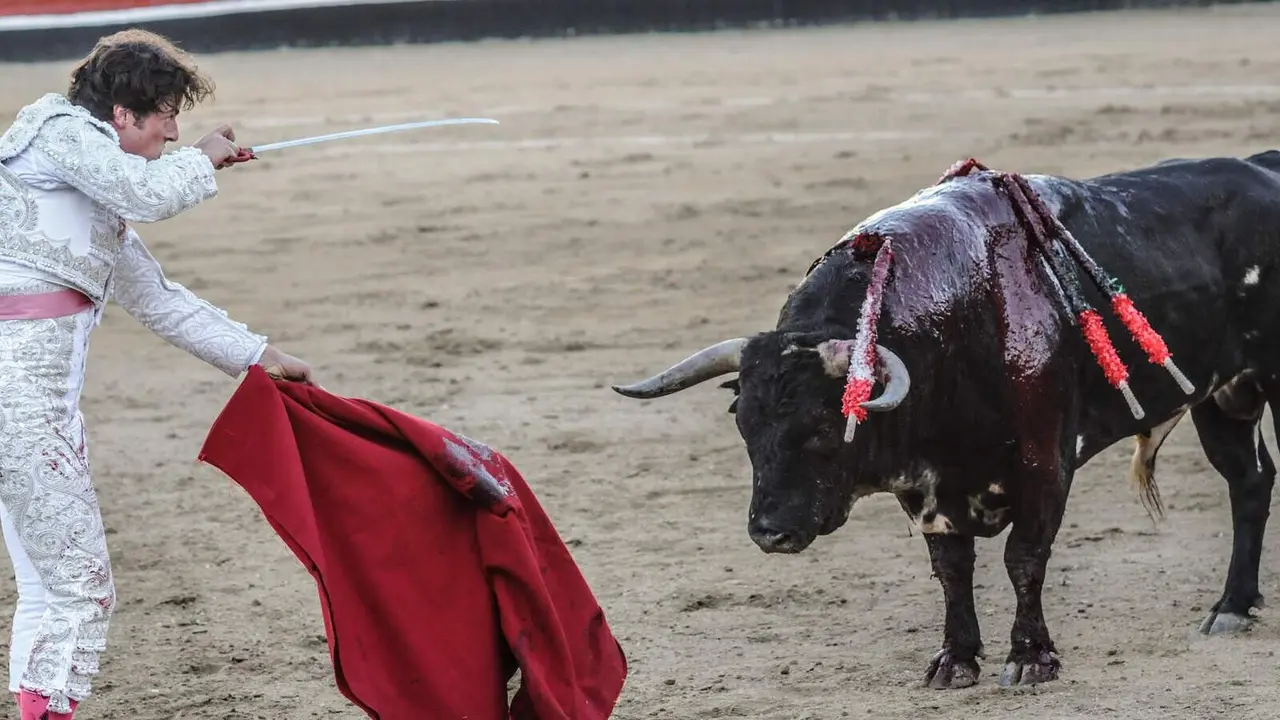 Un torero se dispone a matar a un toro | Foto de Jo Anne McArtur/WeAnimals