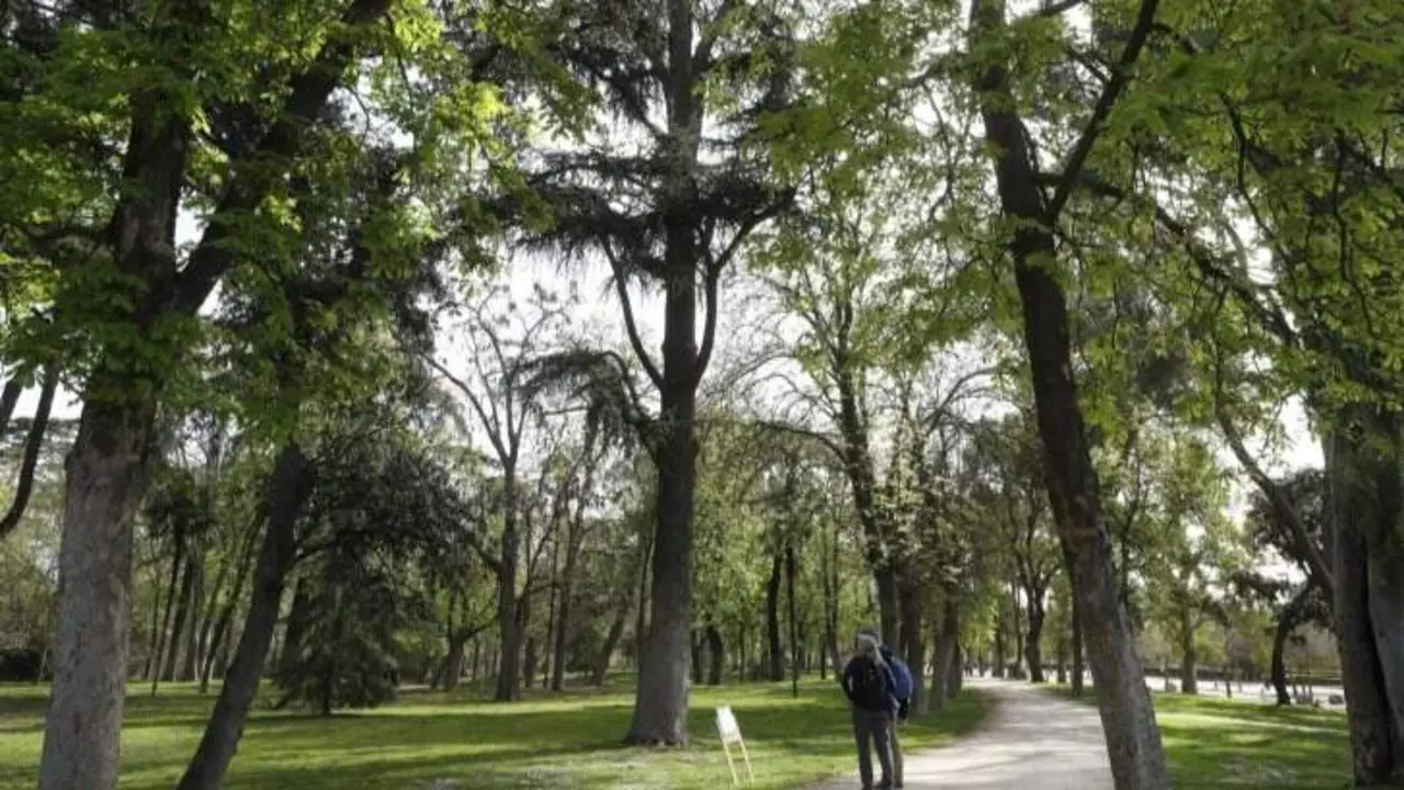 Parque del Retiro - Foto Ayuntamiento de Madrid