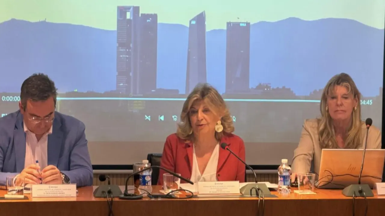 La delegada de Econom&iacute;a, Innovaci&oacute;n y Hacienda, Engracia Hidalgo, en la tercera sesi&oacute;n del Consejo Sectorial de Comercio y Hosteler&iacute;a de Madrid - Foto Ayuntamiento de Madrid