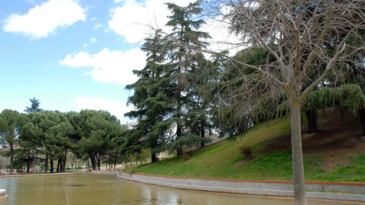 Parque Para&iacute;so Madrid