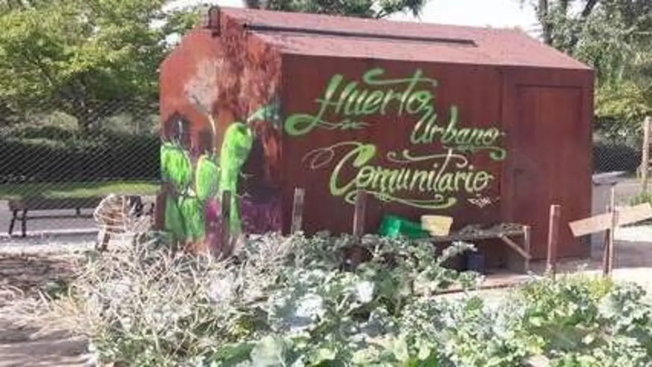 huertos urbanos