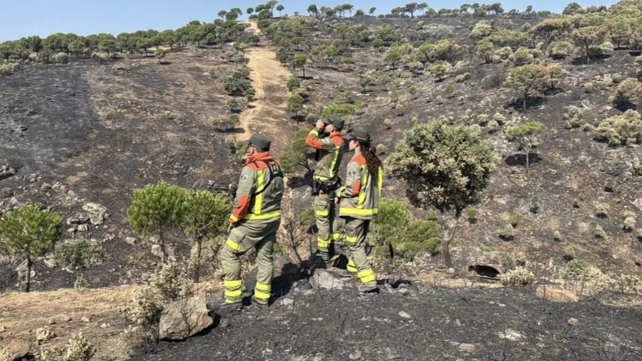 Labores de vigilancia de la zona afectada por los incendios - Foto 112 Comunidad de Madrid