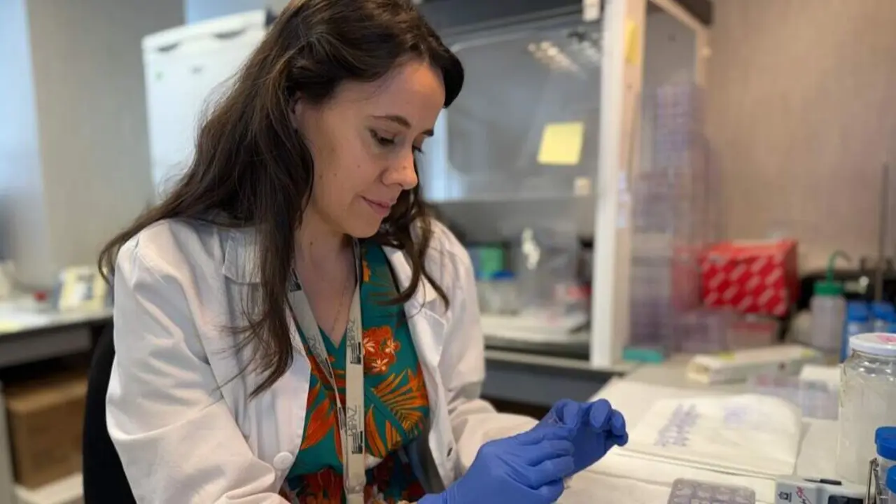 Investigadores del Hospital p&uacute;blico La Paz identifican una prote&iacute;na que explica la elevada agresividad del melanoma - Foto Comunidad de Madrid