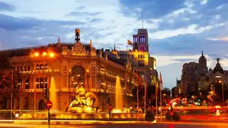 Qué hacer en Madrid en marzo. bearfotos