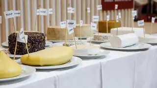 37SG_2024_Gourmet Quesos_0002 (1)