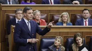 S&aacute;nchez en el Pleno del Congreso de este mi&eacute;rcoles - Foto Congreso