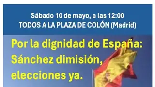 Manifestación "Por la dignidad de España: Sánchez dimisión, elecciones ya"