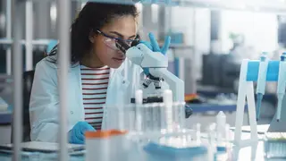 investigadora