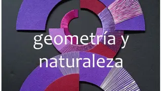 Cartel Geometria y Naturaleza