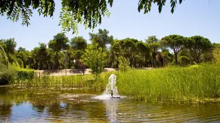 Parque de Madrid gestionado con agua regenerada por el Canal Isabel II