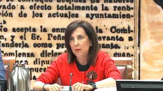 Robles este martes en el Senado - Foto Servimedia