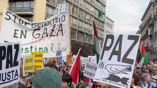 Manifestaci&oacute;n palestina 