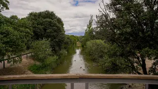 ARCO VERDE LAS ROZAS