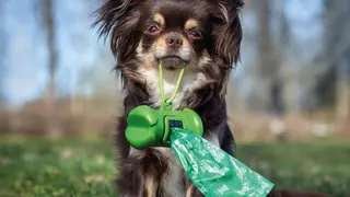 Cartel- Campa&ntilde;a Si &eacute;l pudiera, lo har&iacute;a - Foto del Ayuntamiento de Pozuelo de Alarc&oacute;n