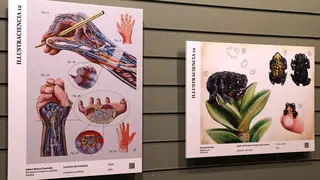 Exposici&oacute;n Illustraciencia 12 - Foto del Museo Nacional de Ciencias Naturales