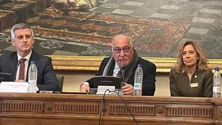 Pere Navarro (centro), hoy en el Senado | Foto de CNAE