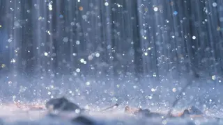 Lluvia - Foto de David De Lossy de Photo Images