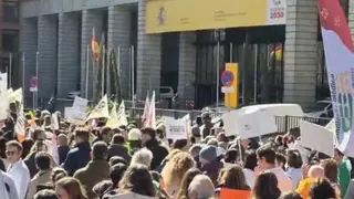 Manifestaci&oacute;n 