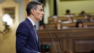 Pedro S&aacute;nchez en una intervenci&oacute;n en el Congreso - Foto del Congreso de los Diputados
