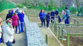Alcobendas entrega 276 huertos urbanos - Foto del Ayuntamiento de Alcobendas