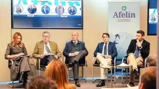 Encuentro AFELIN - Foto de AFELIN