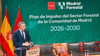 El consejero Novillo, presentando las medidas del Plan de Impulso Forestal - Foto Comunidad de Madrid