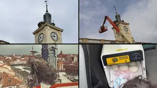 Montaje propio con fotos del Ayuntamiento de Alcal&aacute; de Henares