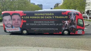 Foto de la plataforma Mismos perros, mismos derechos