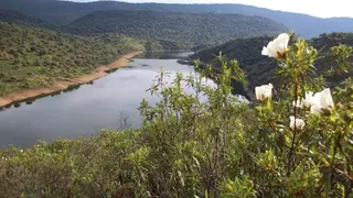 Parque Nacional de Monfragüe - Foto de SEO BirdLife. Autor: Wikicommons_FrDr